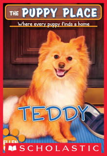 Book cover of Teddy (the Puppy Place #28)