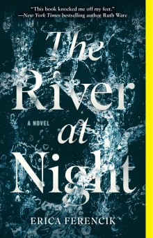 Book cover of The River at Night