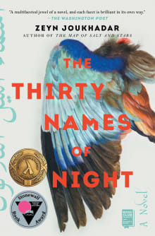 Book cover of The Thirty Names of Night