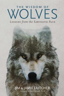 Book cover of The Wisdom of Wolves: Lessons from the Sawtooth Pack