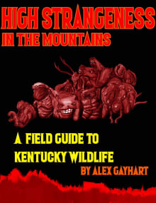 Book cover of High Strangeness in the Mountains: A Field Guide to Kentucky Wildlife
