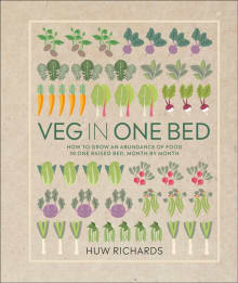Book cover of Veg in One Bed: How to Grow an Abundance of Food in One Raised Bed, Month by Month
