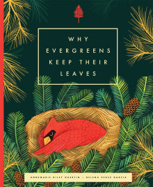 Book cover of Why Evergreens Keep Their Leaves