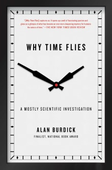 Book cover of Why Time Flies: A Mostly Scientific Investigation