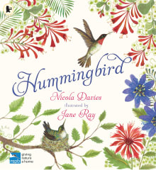 Book cover of Hummingbird