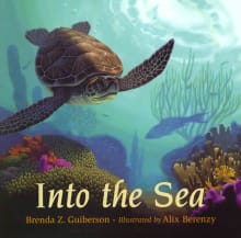 Book cover of Into the Sea