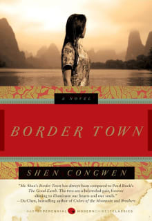 Book cover of Border Town