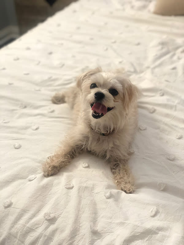 Chloe