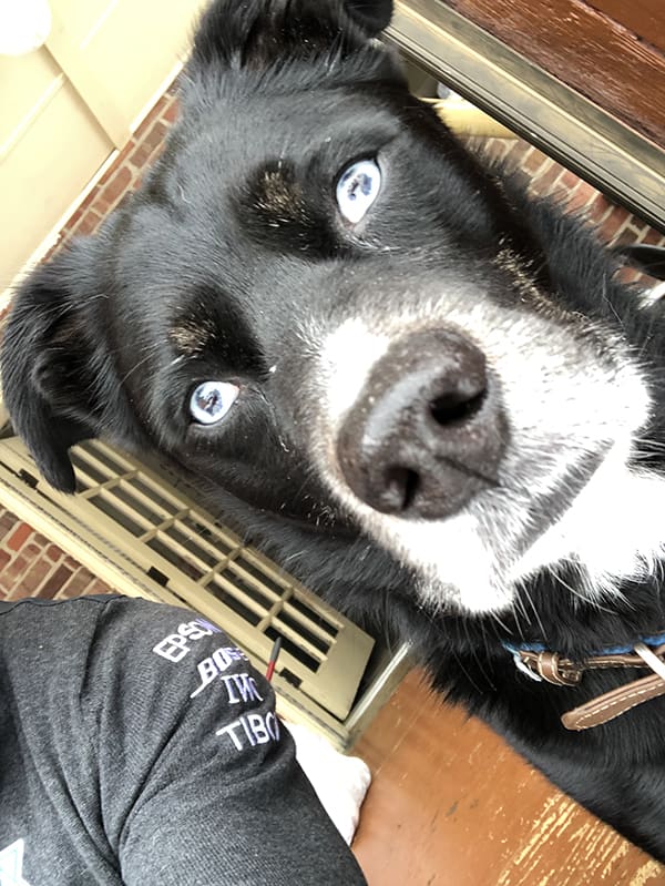 Koda