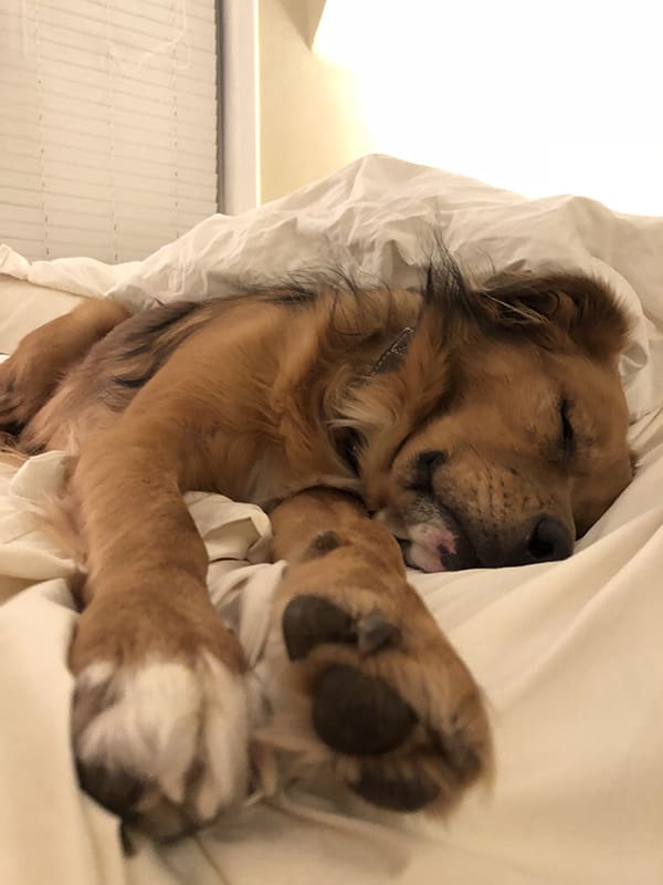 Max