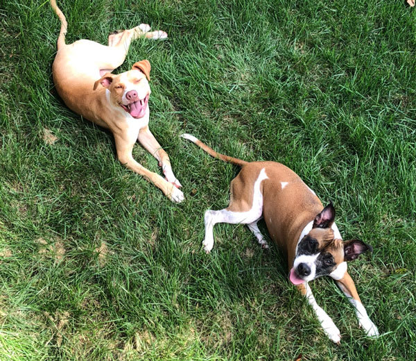 Zoe and Ali