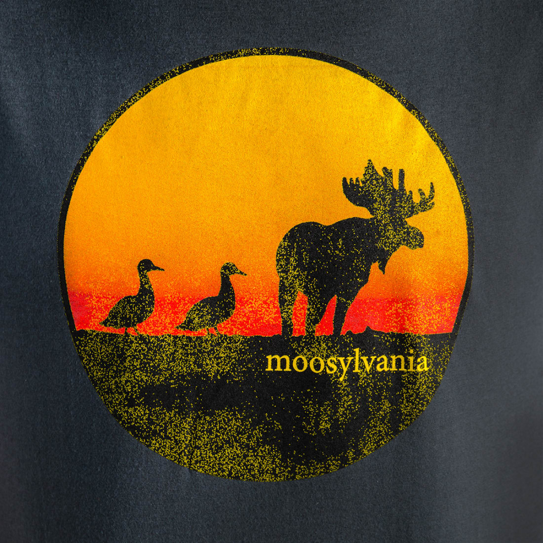 Duck Duck Moose Tee Photo