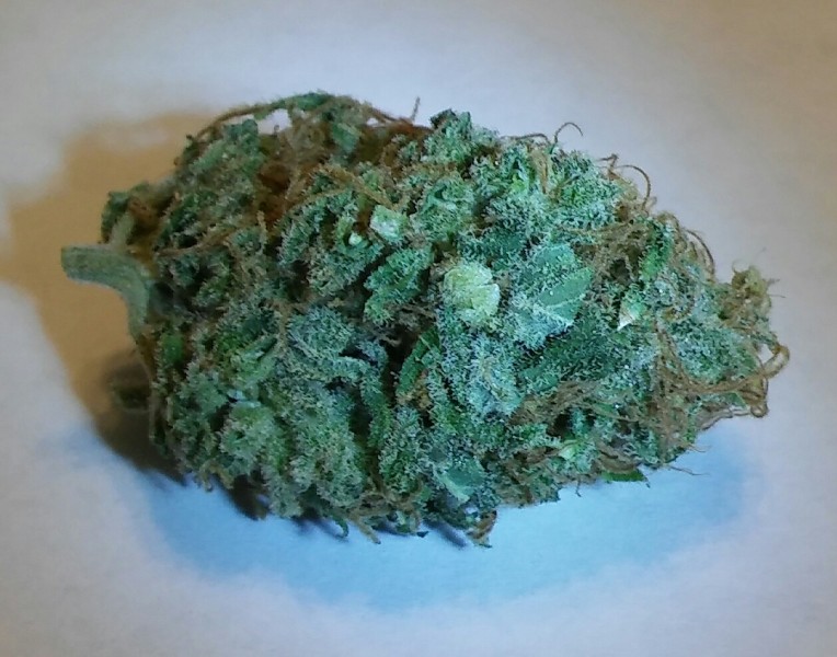 Northern Lights Marijuana Strain Reviews AllBud