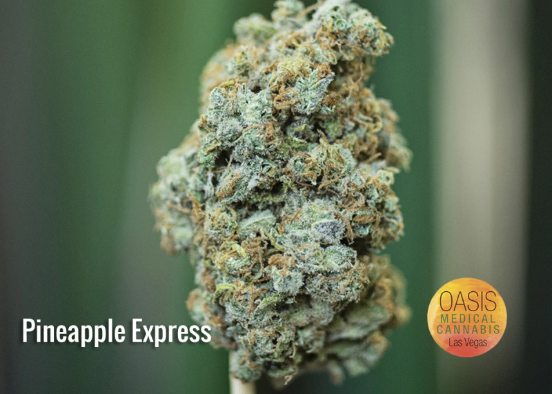 Pineapple Express Marijuana Strain Reviews AllBud