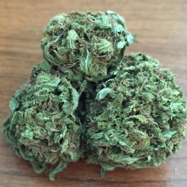 Blue Cheese Marijuana Strain Reviews AllBud