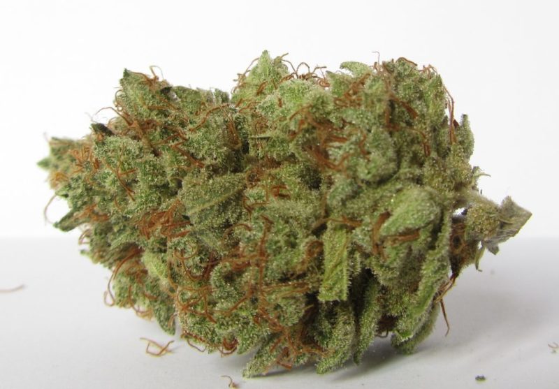 '91 Chemdawg Marijuana Strain Reviews AllBud