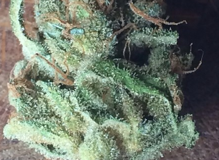 Super Sour Skunk | Marijuana Strain Reviews | AllBud