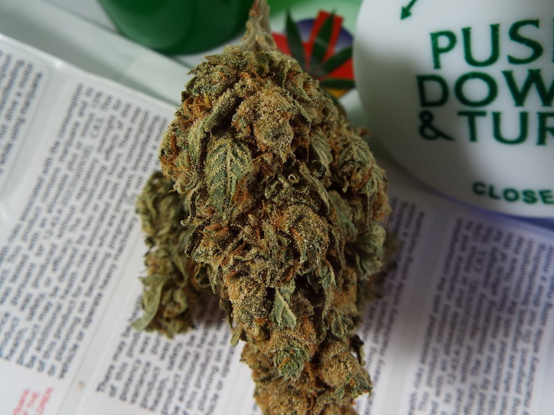 Blue Cheese Marijuana Strain Reviews AllBud