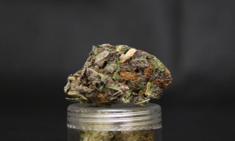 Purple Ice | Marijuana Strain Reviews | AllBud