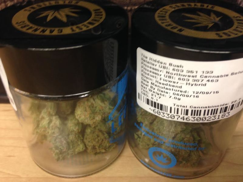 Headband Marijuana Strain Reviews AllBud