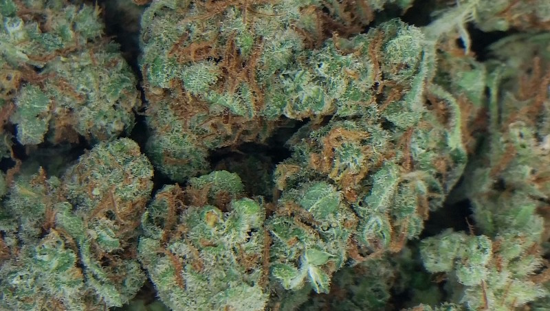 Image result for cherry kush