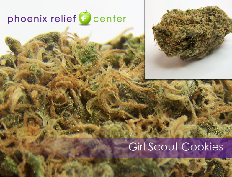 Girl Scout Cookies Marijuana Strain Reviews AllBud