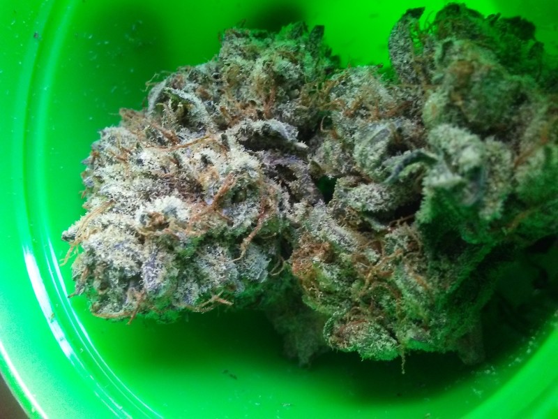 The Funk Marijuana Strain Reviews AllBud