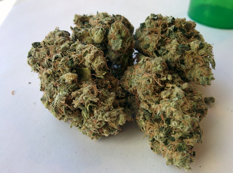 grapefruit strain