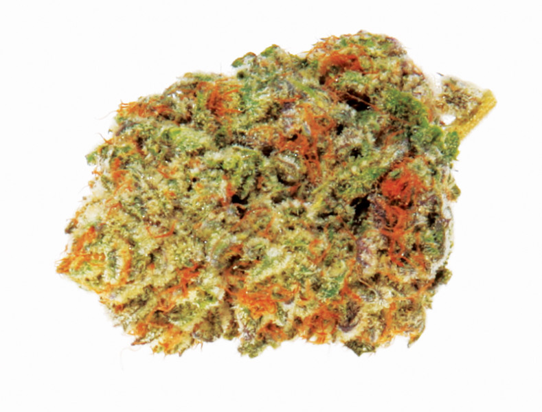 Tangerine Dream Marijuana Strain Reviews AllBud