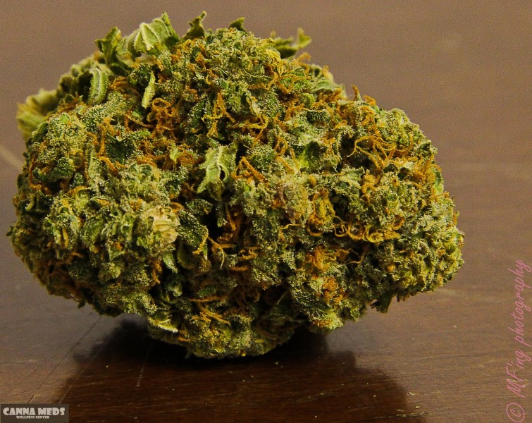 alaskan thunder fuck strain photo sex girls beach