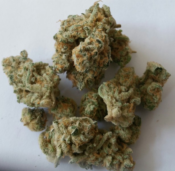 Sugar Cookie Marijuana Strain Reviews AllBud