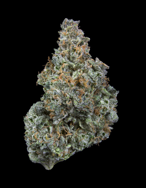 tangerine haze wikileaf