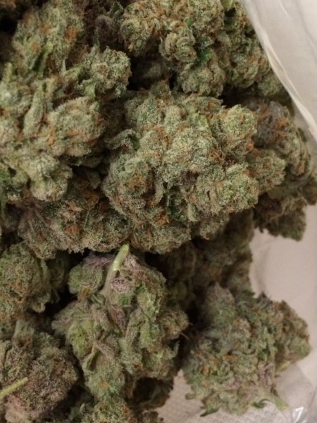 walker strain walker og marijuana strain reviews allbud walker strain walker og marijuana strain reviews allbud