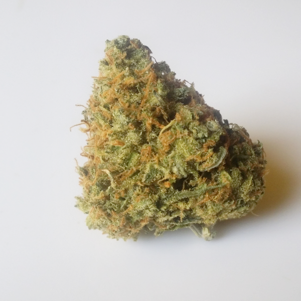 black strain black marijuana strain reviews allbud black strain black marijuana strain reviews allbud