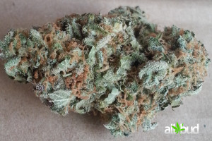 Cotton Candy Kush | Marijuana Strain Reviews | AllBud