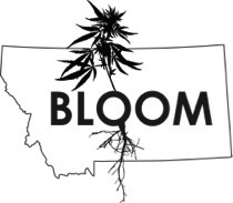 bloom dispensary