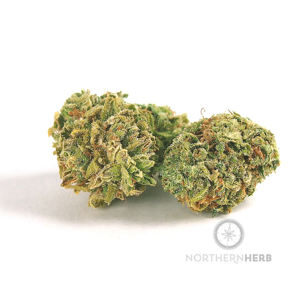 Tangerine Dream Marijuana Strain Reviews AllBud