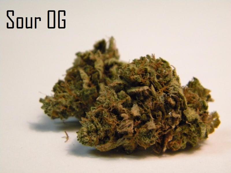 Sour OG Marijuana Strain Reviews AllBud