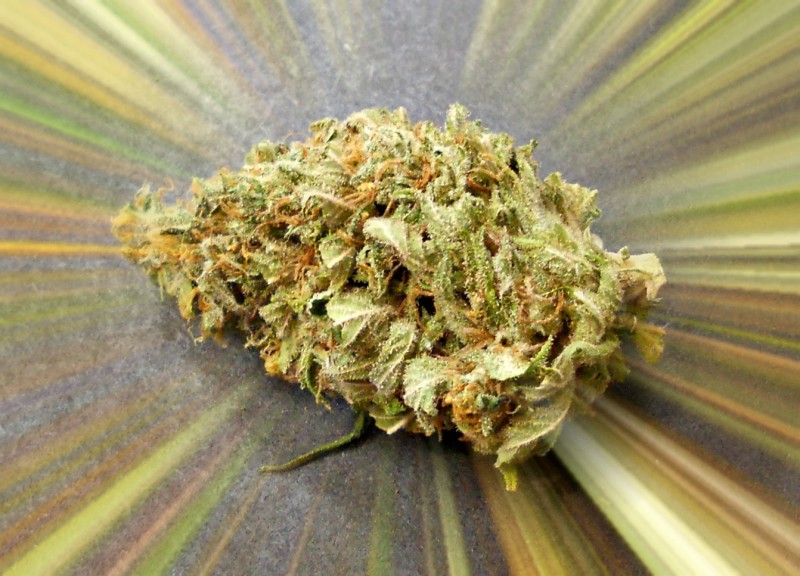 Pipe Dreams Dispensary Recreational Marijuana Dispensary Lincoln