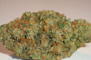 bubble gum strain for sleep