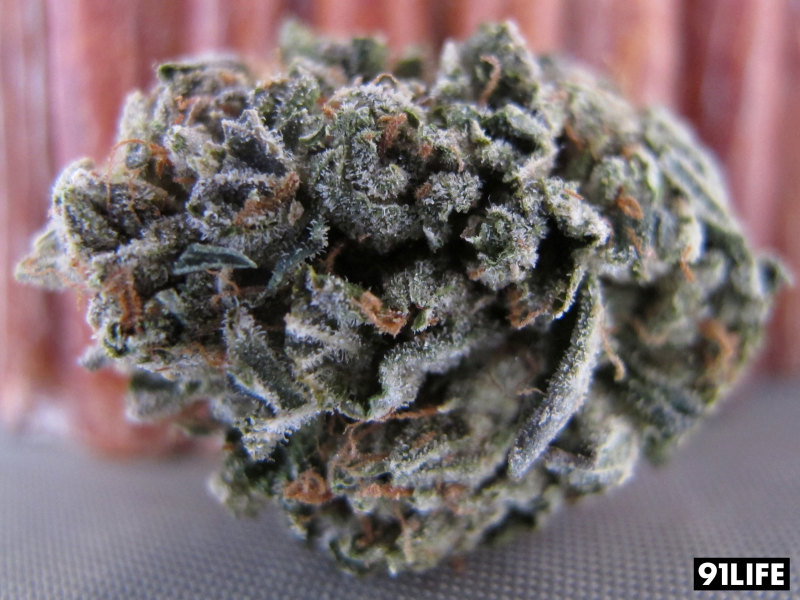 Gas Marijuana Strain Reviews AllBud