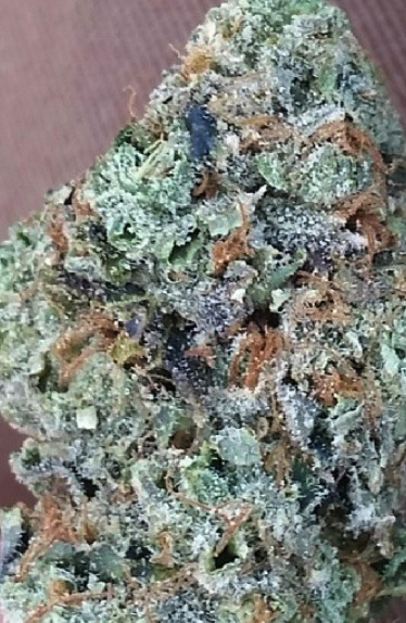 walker strain albert walker marijuana strain reviews allbud walker strain albert walker marijuana strain reviews allbud