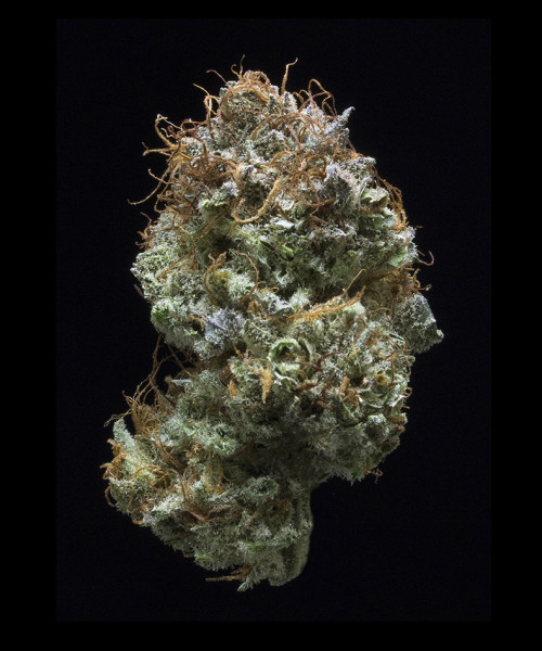 sour amnesia strain effects