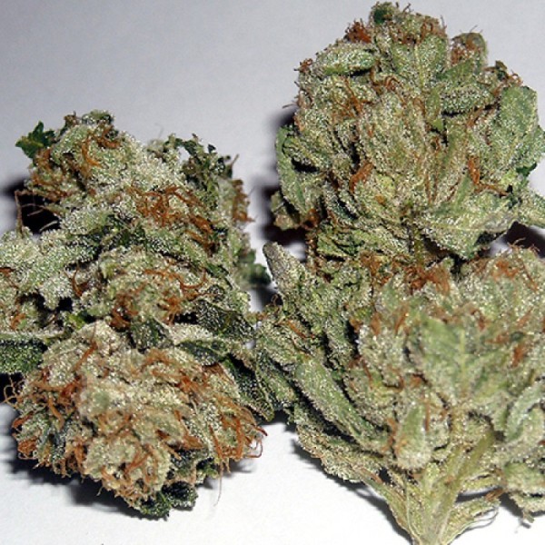 Dark Shadow Marijuana Strain Reviews AllBud