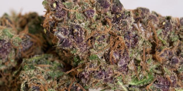 Jack Black | Marijuana Strain Reviews | AllBud