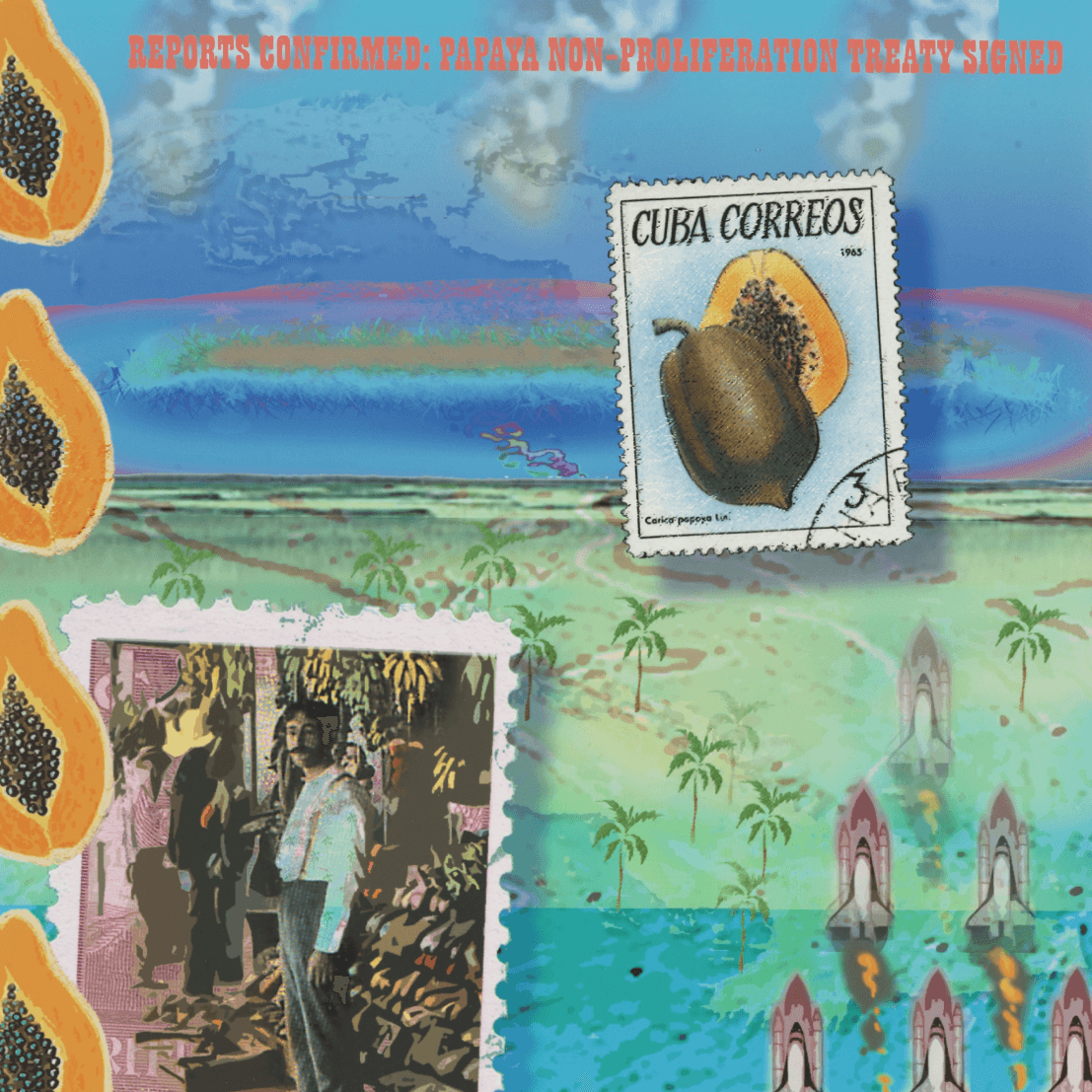 detalle de obra-exhibición: Trópico Agridulce