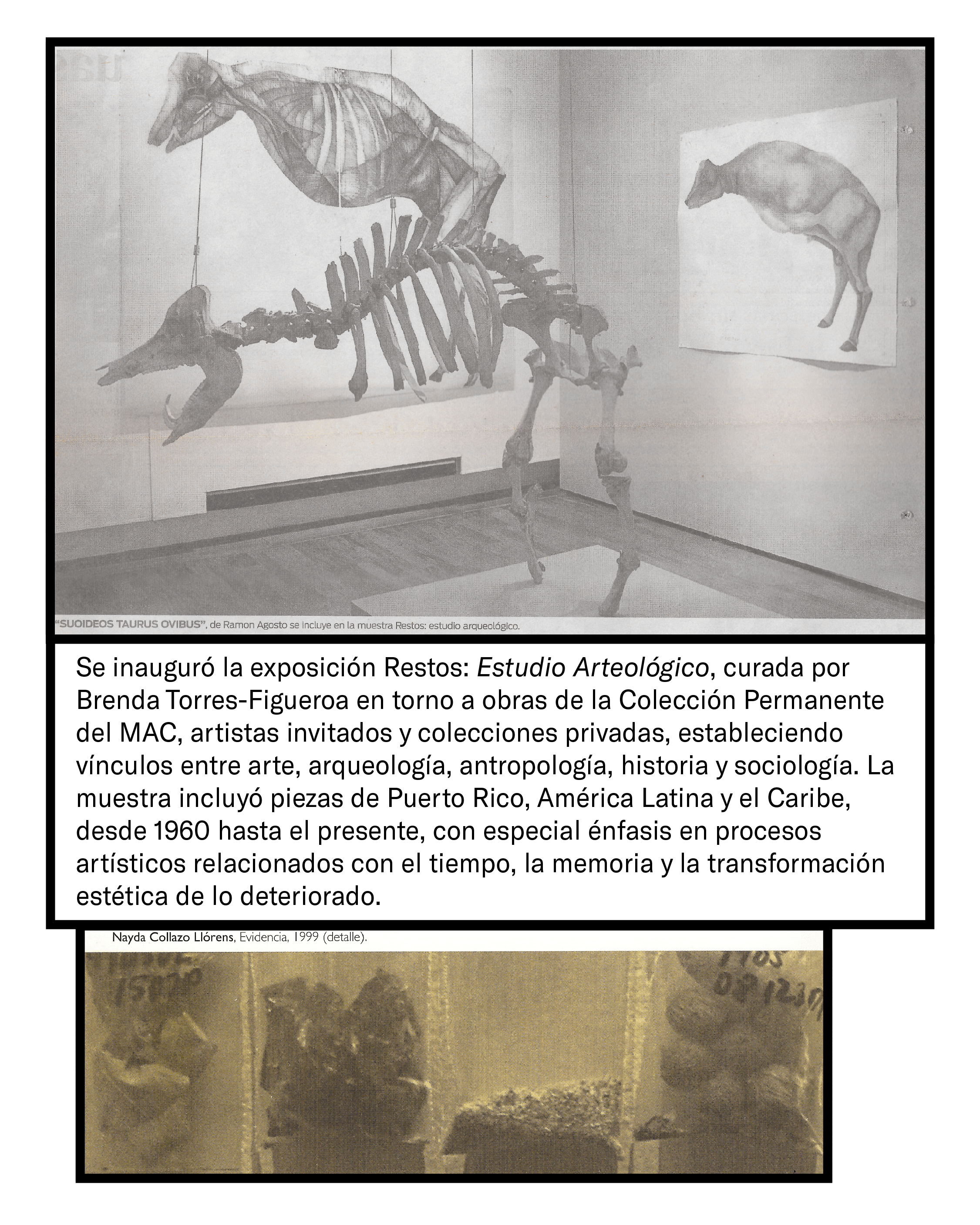 2006-2007_14 web.png