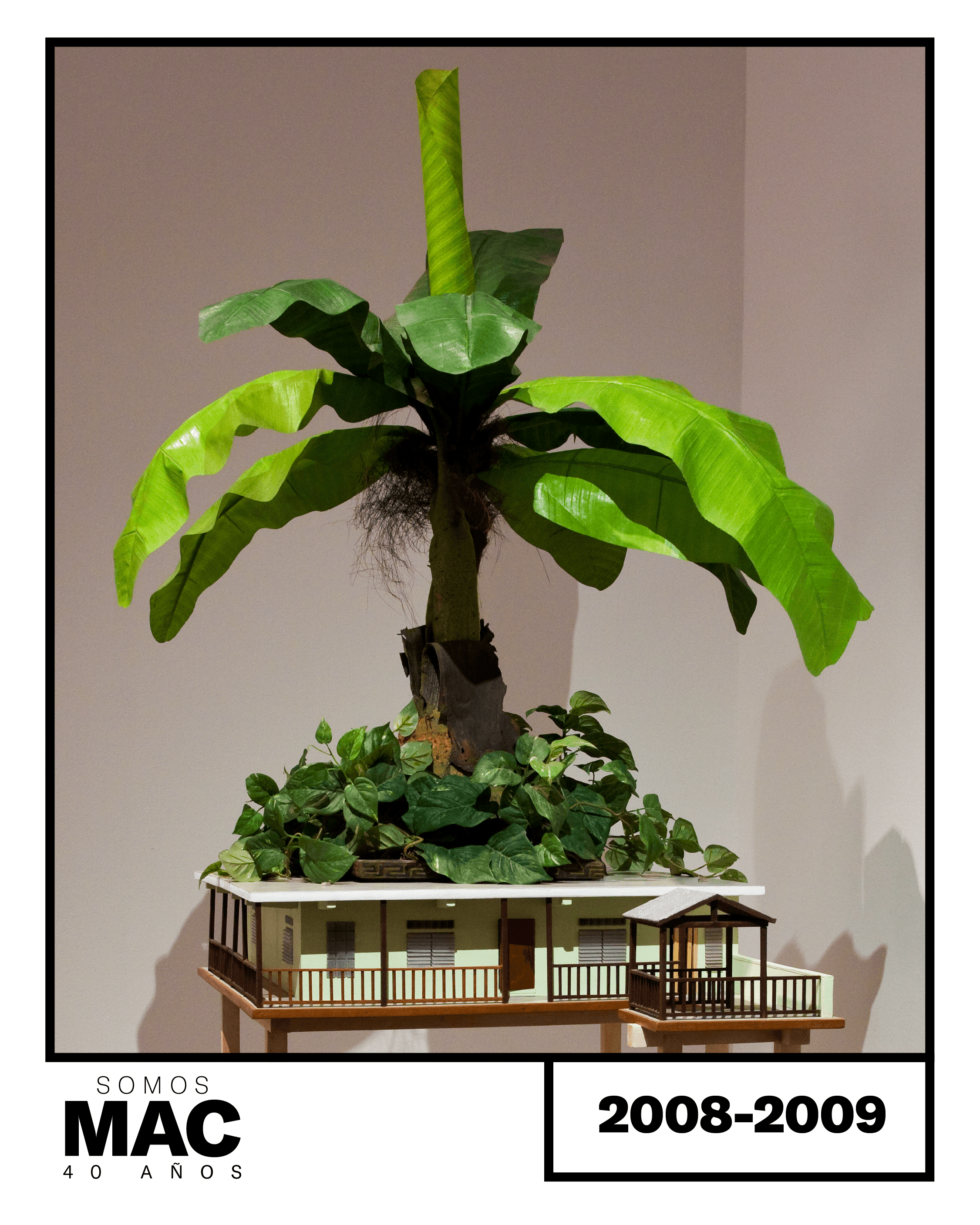 2008-2009_01 A web.png