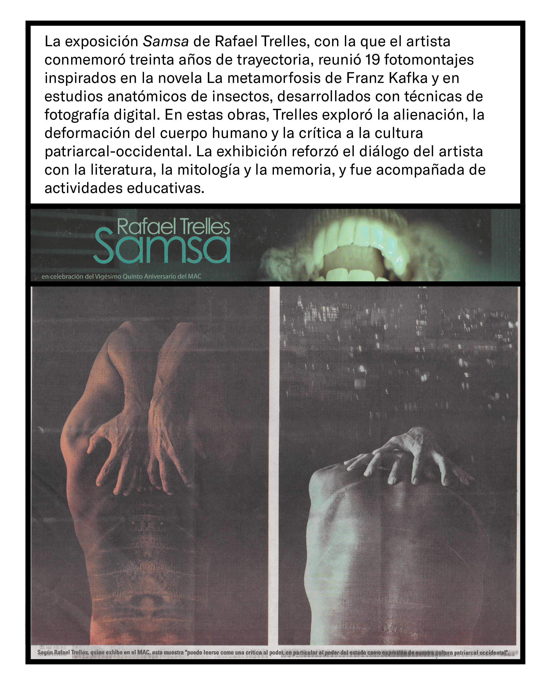 2008-2009_19 web.png