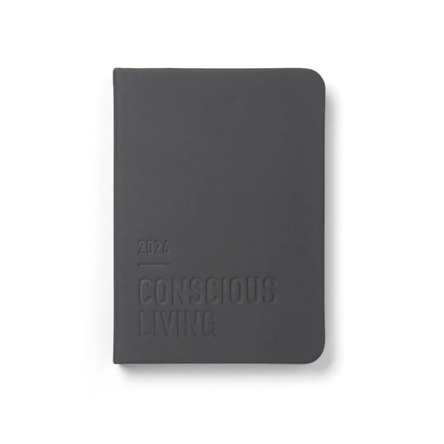 2026 Conscious Evergreen A6 WTV Slate